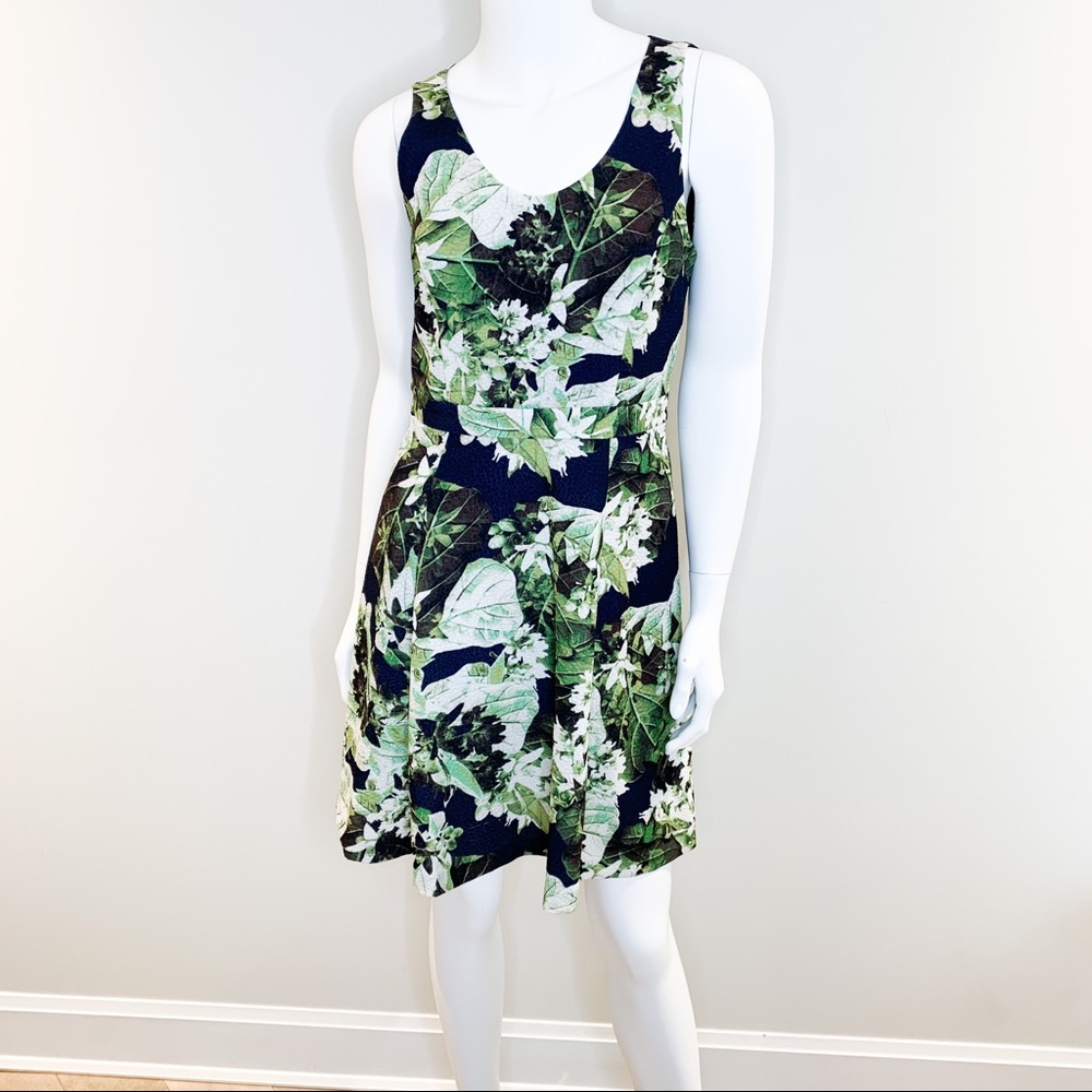 Cynthia Steffe Fit & Flare dress in floral Dress